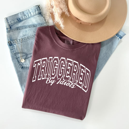 Triggered by Idiots - Comfort Colors Graphic Tee