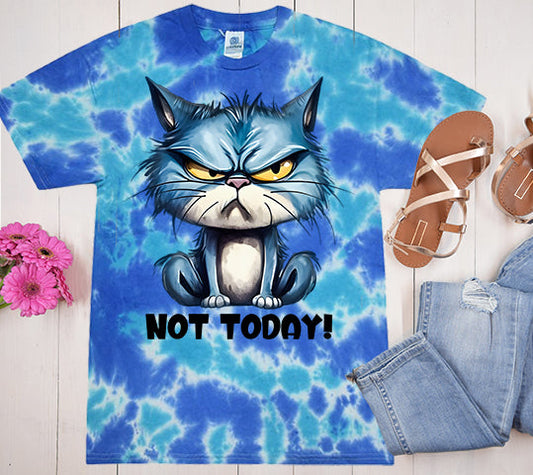 Not Today - Tie Dye Graphic Tee